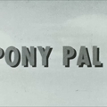 Pony_Pal_SD.mp4