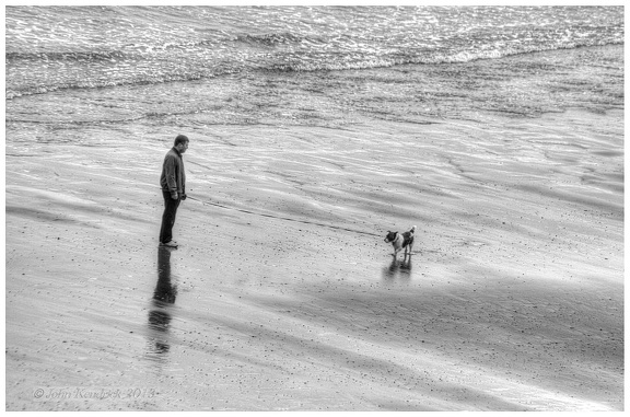 #8 A Man and His Dog