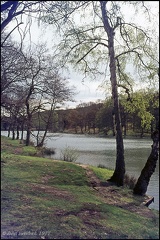5.096 Connop Pond, Forest of Dean
