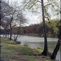 5.096 Connop Pond Forest of Dean+wm+bdr_1000h.jpg