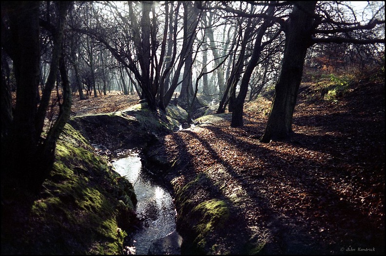 Debden Slade Stream, Epping Forest