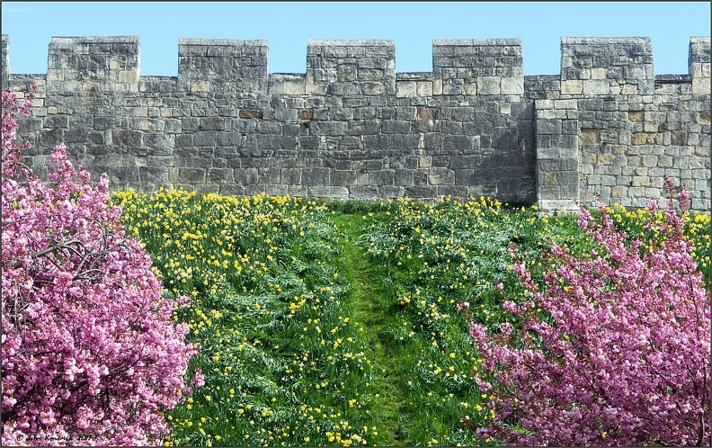 York City Wall in Spring