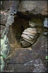 Rock 'Tortoise', Hesley Dell, nr. Rochdale, Lancashire