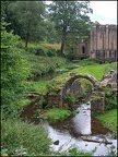 Mill Stream, Fountain's Abbey