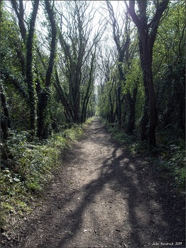 'The Cinder Track' at Fylingthorpe April 2019