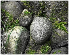 Stones