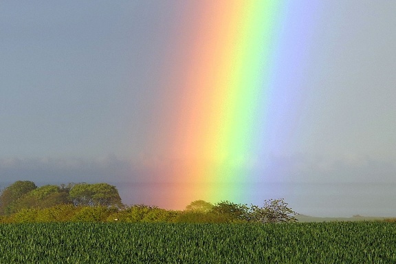 Rainbow's End