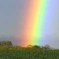 Rainbow\'s End.jpg