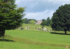 Stilgoe Lodge ?