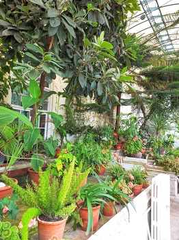 The Garden Room - Ripley Castle