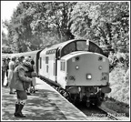 KWVR4 credit Anthony J Hil  edit 800