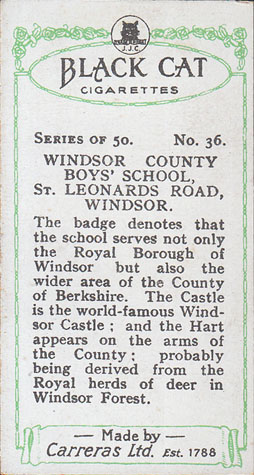 36- Windsor.jpg