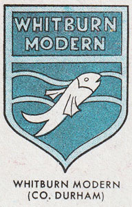 Whitburn Modern (Co. Durham).jpg